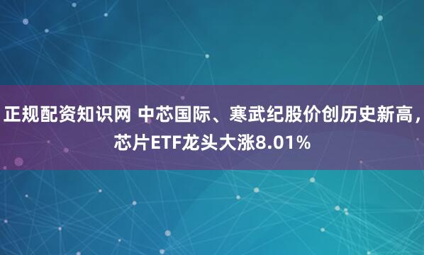 正规配资知识网 中芯国际、寒武纪股价创历史新高，芯片ETF龙头大涨8.01%
