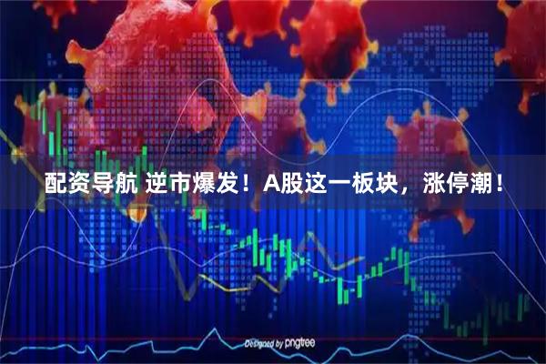 配资导航 逆市爆发!A股这一板块,涨停潮!